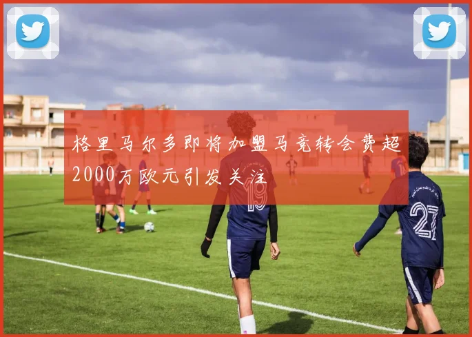 格里马尔多即将加盟马竞转会费超2000万欧元引发关注