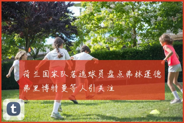 荷兰国家队落选球员盘点弗林蓬德弗里博特曼等人引关注